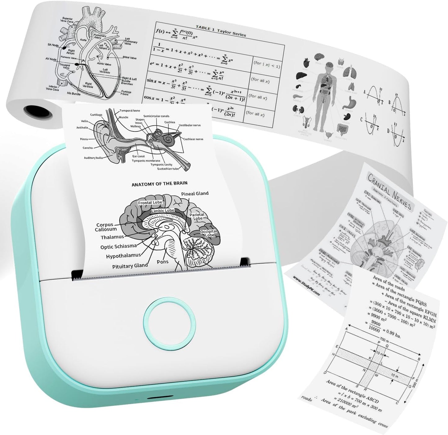 Viral Mini Thermal Printer